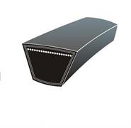 CINGHIA TRAPEZIA A-22