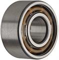 SKF -6004