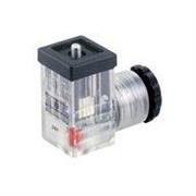 CONNETTORE MINI DIN 43650C-C/LED 24V 3MT